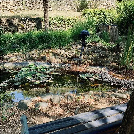 Des Sources Saint Sebastien d'Aigrefeuille